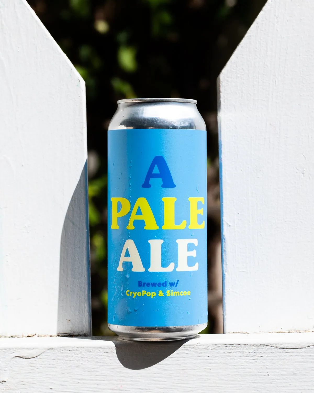 A Pale Ale