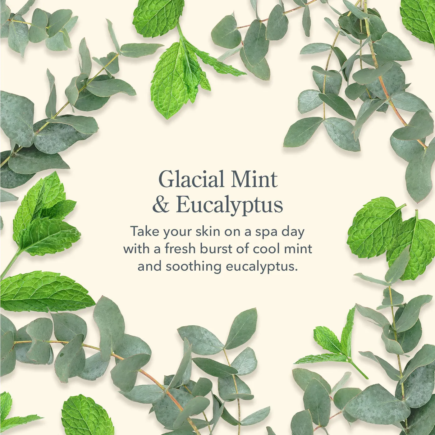 Glacial Mint & Eucalyptus Caddy Set