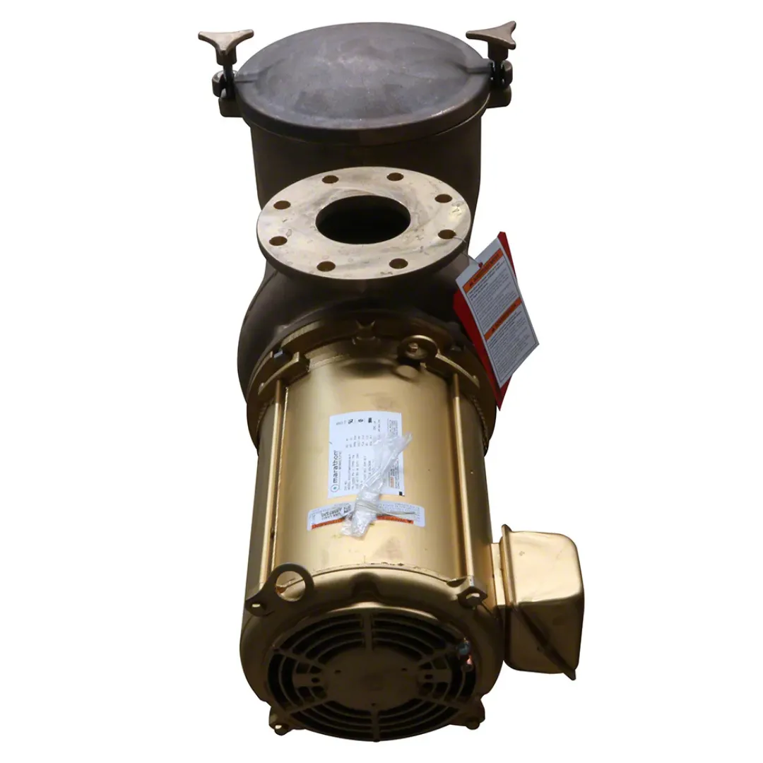 Pentair 10HP C Series Commercial Bronze High Head Pump CHK-100, 3-Phase, 200-208V, Model 347945 - Powerful and Durable Industrial Water Pump